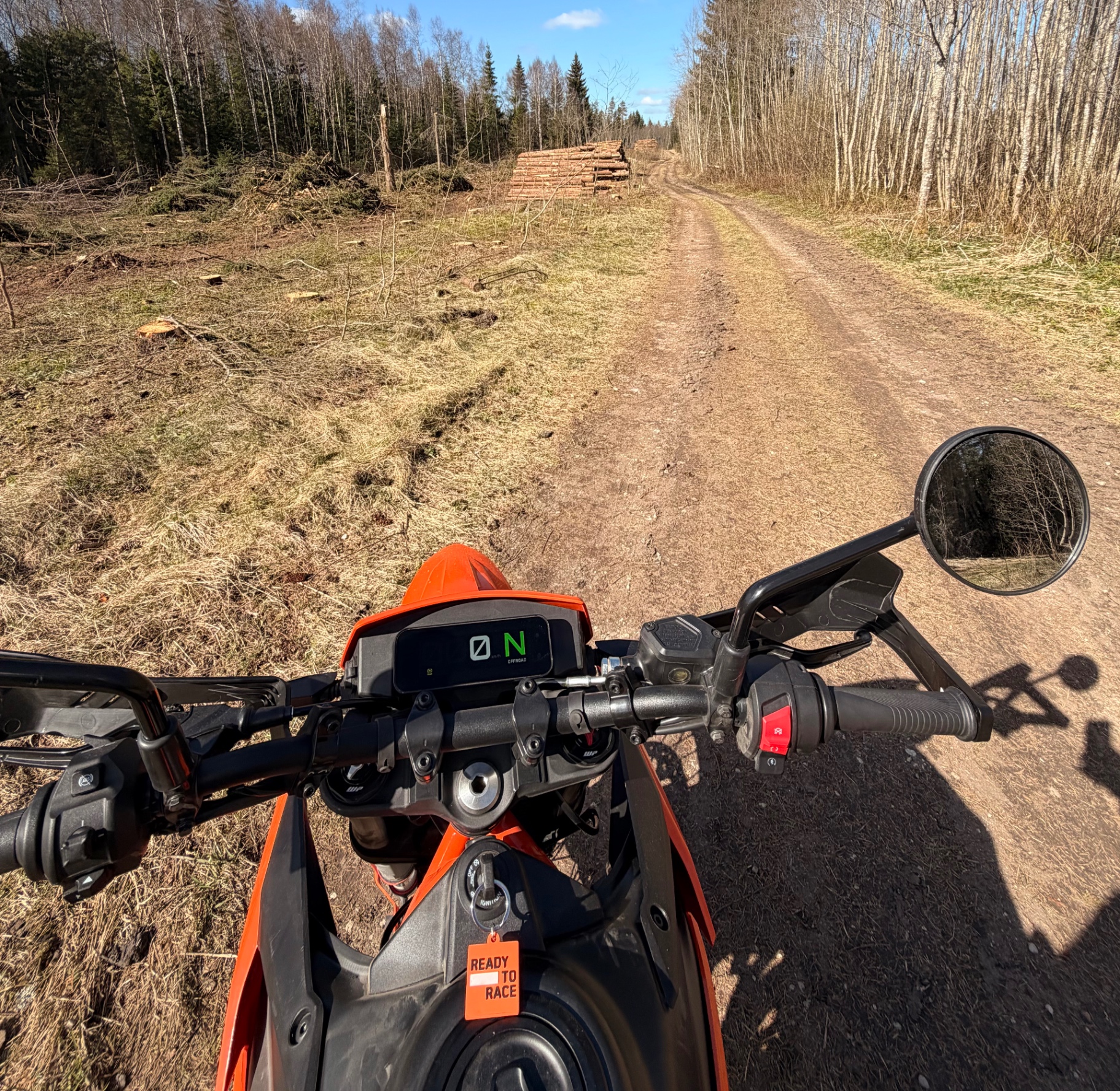 Sõit metsas
